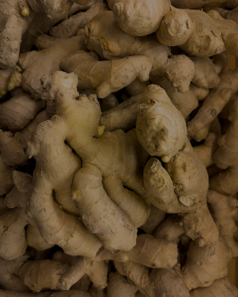 GINGER